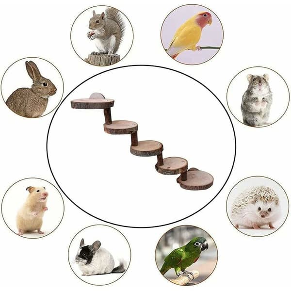 Hamsterklätterleksak, Hamstertrappa, Träbro Hamsterleksaker,