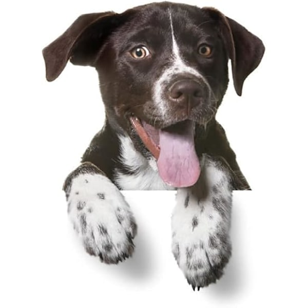 Hundbilsdekal Roliga Bildekaler Personliga Bildekaler 3D Bilväggdekaler Bilhuvdekal för Bilexteriör