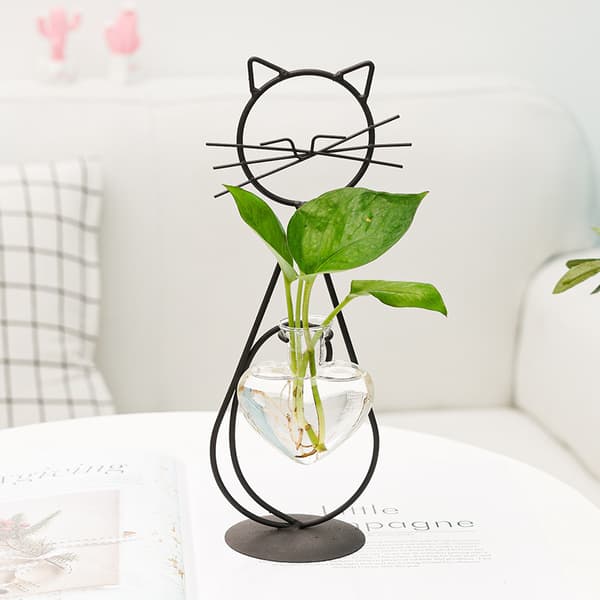 Glaskat med hjerteformet vase, planteterrarium,