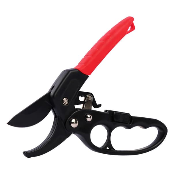 Automatisk spärrstäd och spärrträdgårdshäcktrimmer gren C