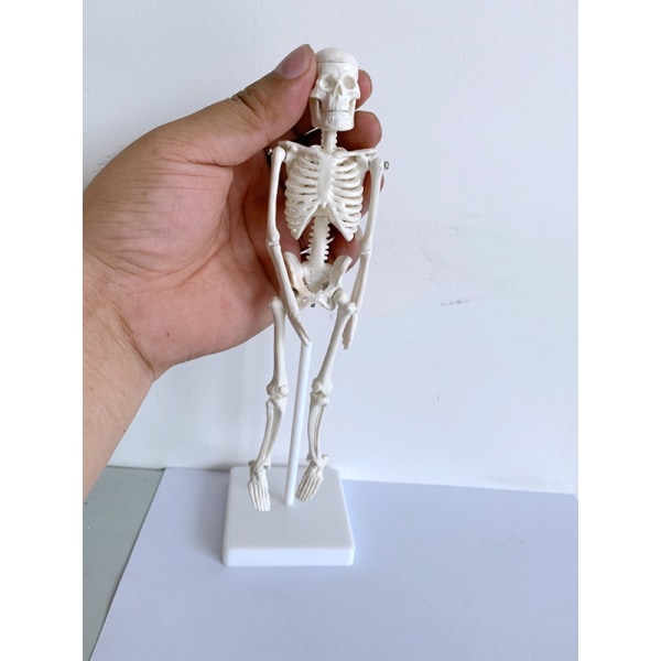 Tiny skeleton toy cheap