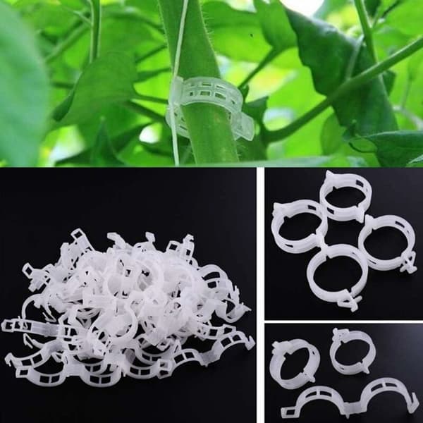 200-pack växtstöd clips, mini plast vinrankor för tomater, rosor,