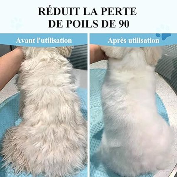 Hundborste Kattborste, Långhårig Hundborste, Långhårig Kattborste, Borste för D