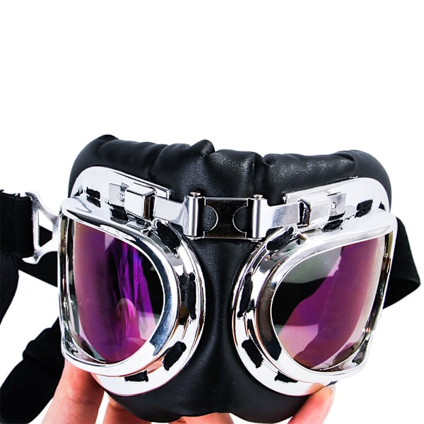 Pet Goggles Hund Goggles Pet Goggles Dog One Size (färg)