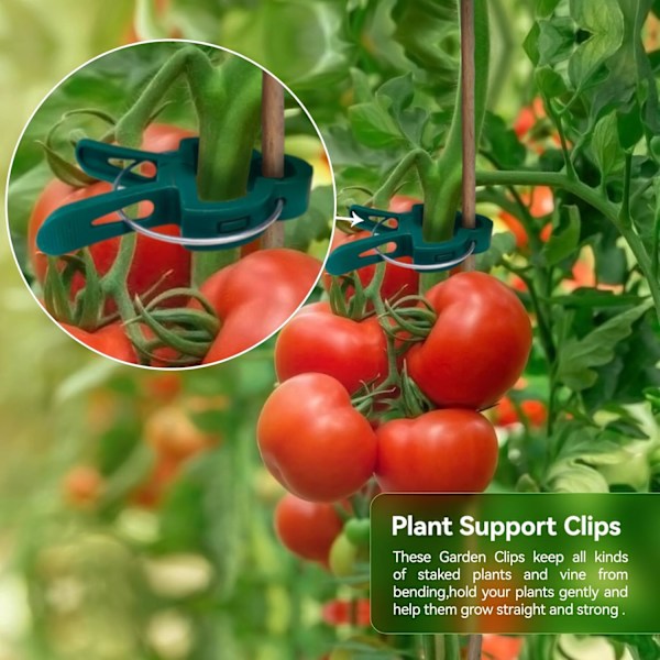 70 stk. tomatclips, planteclips/haveclips, støtteclips til planter