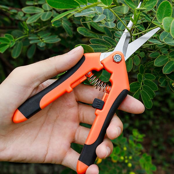 16,5 cm Gartensaks Håndsaks Gartensaks Gartensaks med lige rustfrie stålklinger, orange, 1 stk.