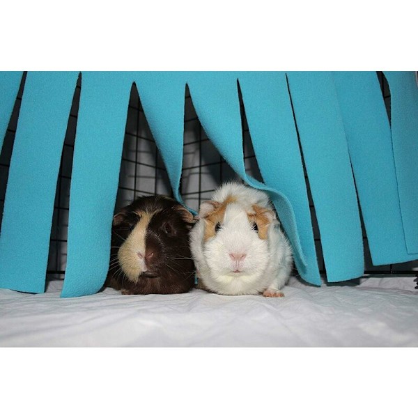 Litet Djur Hamster Hängmatta Tält Bur Tillbehör Bo Säng för Marsvin, Chinchilla, Igelkott, Råtta, Ekorre, Iller, Dvärkanin (Blå)