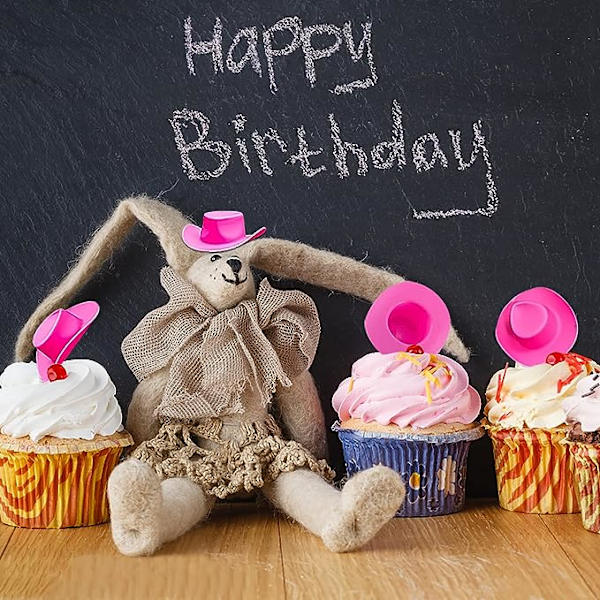 20 kpl muovinen mini lännen cowboy cowgirl hattu kakku cupcake topper