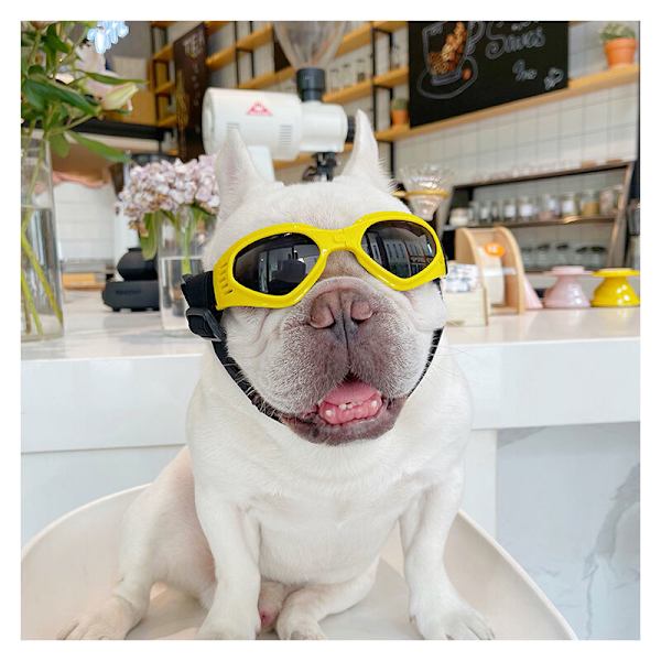 1 stk. Hunde Goggles, Kæledyr Solbriller, Sammenfoldelige Hunde Goggles UV Beskyttelse Solbriller