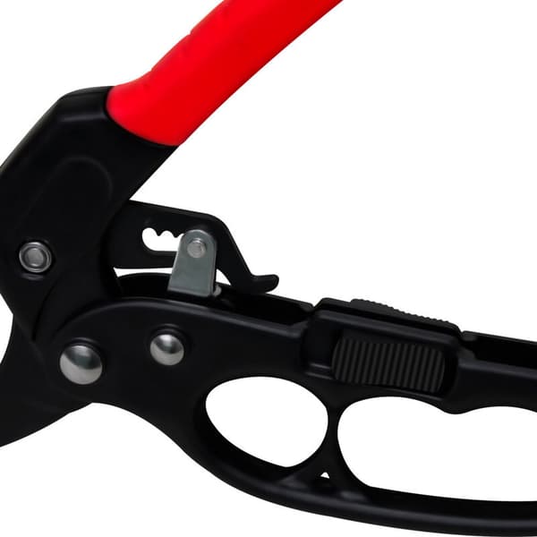 Automatisk spärrstäd och spärrträdgårdshäcktrimmer gren C