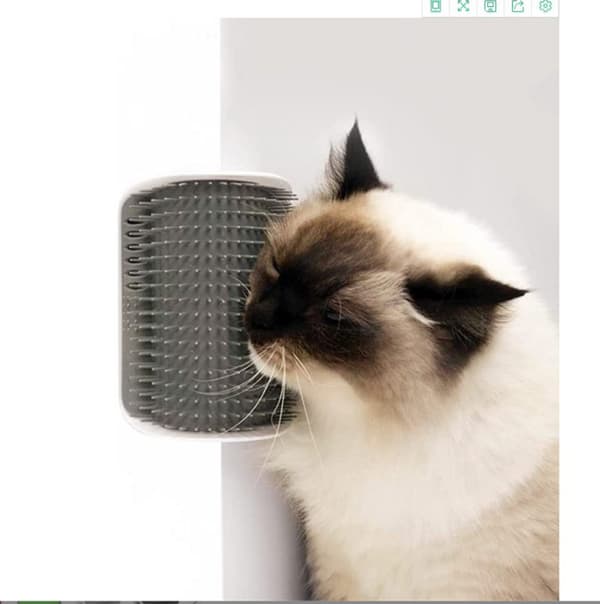 Kat selvplejer med katteurtpose, killing massagekam pleje