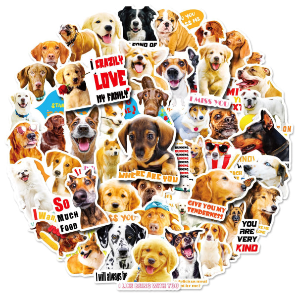 50 st söta hundklistermärken för vattenflaska, hundpresenter för vuxna kvinnor tonåringar