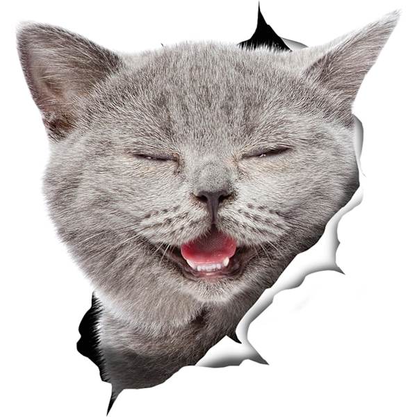3D-kattklistermärken - 2-pack - Skrattande grå kattdekaler för vägg - kylskåp - toalett -