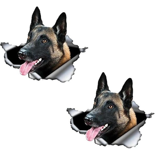 Pieces Malinois Bilklistermærke, 3D Bilmærkater, 20×15CM Bilklistermærker, Vandtæt Kæledyrshund Bilklistermærke, til Bilruder, Vægserier