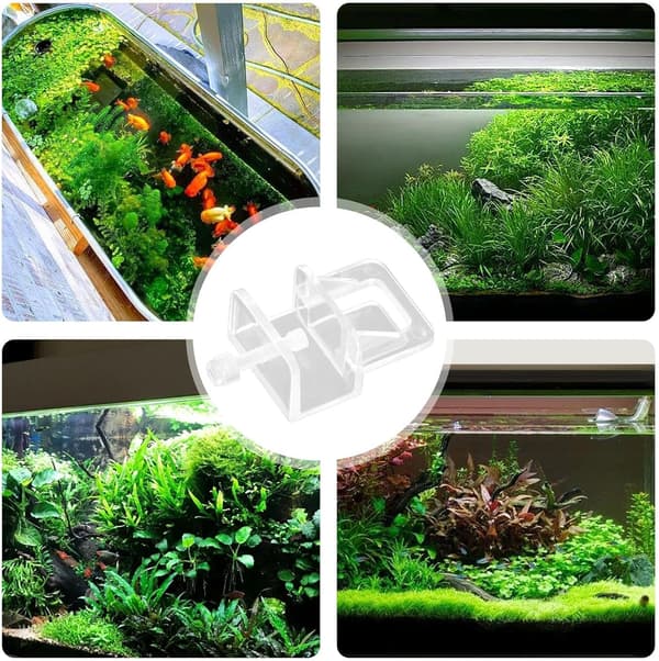 Transparent Akvarielock | Akvarielockfästen | Kreativa Akvarielockfästen | Transparenta Akryl Akvarielock