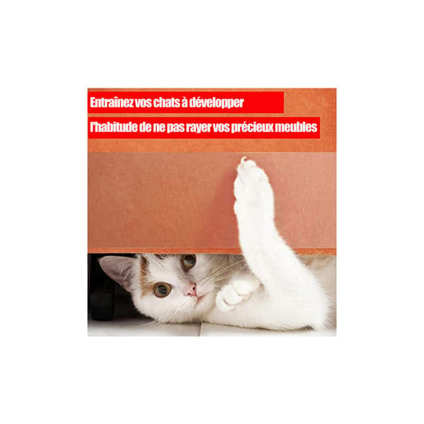 Anti-Scratch Kattebånd, Dobbeltsidet Transparent Kattebånd, S - S