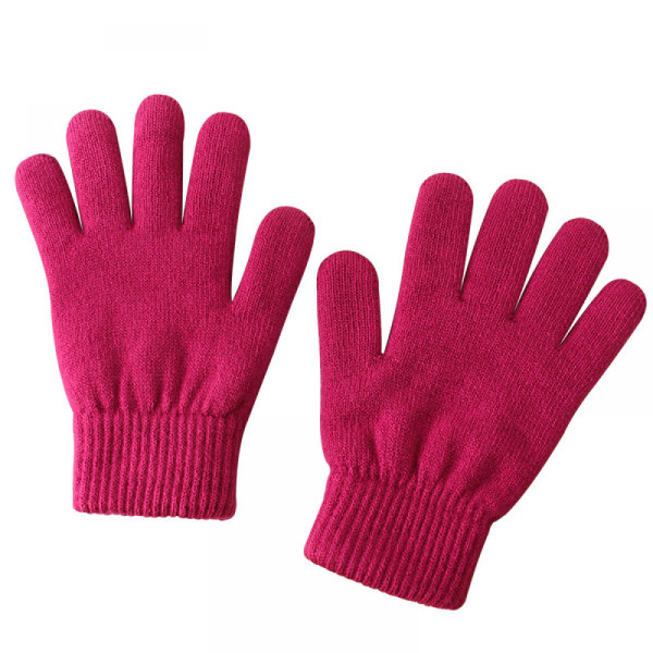 Kvinner høst og vinter enkel mote doble strikkede varme hansker