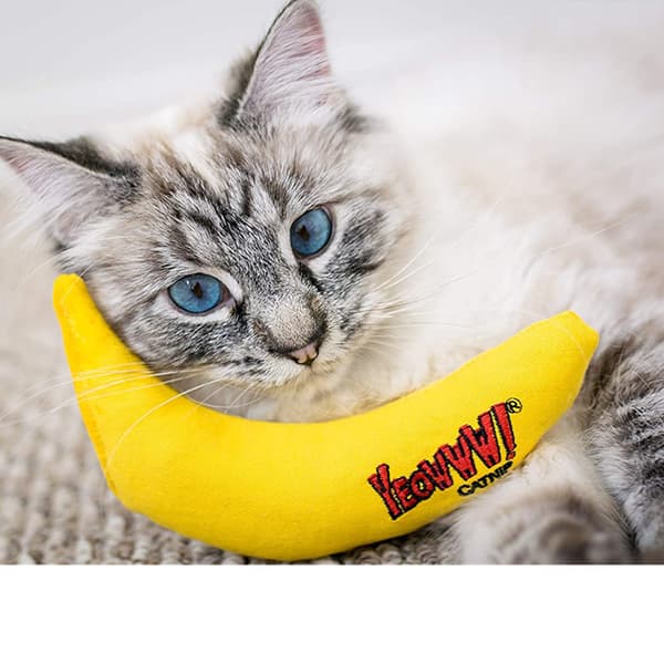 Katteurt Legetøj, Gul Banan Form, 15*7CM, Gul
