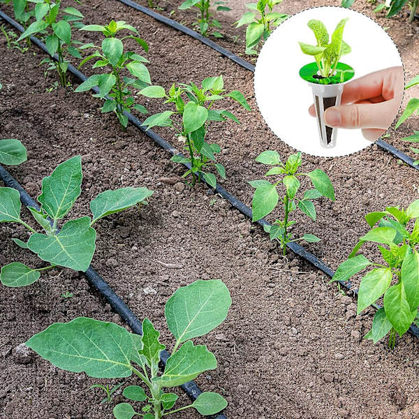 50 Hydroponics Kasvatussarja 25 Muovikasvatuskorilla 25 Kasvatussienellä