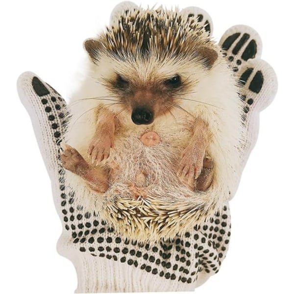 Par Bite Proof Handskar Bite Proof Djurhantering Handskar Katt Handskar Anti-scratch Handskar Djur Handskar Husdjurshantering Handskar Anti Bite Handskar Djurhandske slumpmässig färg
