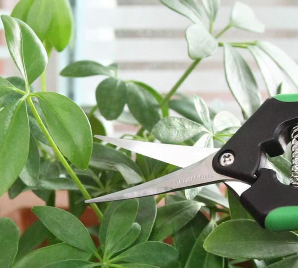 Havesaks med buede rustfri stålblad (2 stk.)