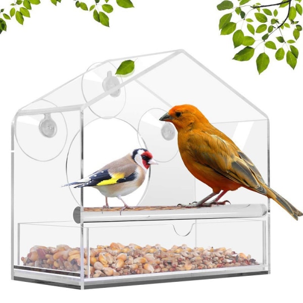 New 'Huis' bird feeder