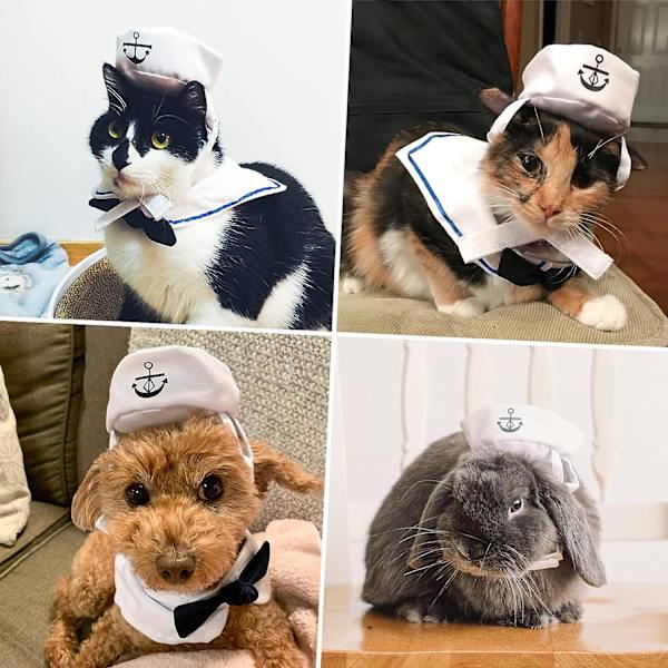 Husdjurssjömänkostym för katter Små hundar Halloween Katt sjömanshatt med
