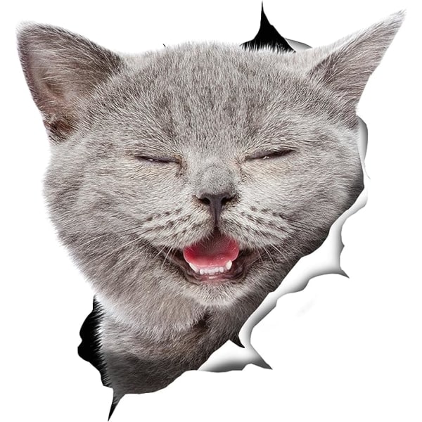 3D Cat Stickers - 2 Pack - Laughing Grey Cat Decals for Wall - Fr