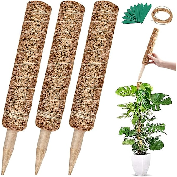 Stor 41,7\" Moss Pole för växter  3 17,7\" Stapelbar Monstera Plan