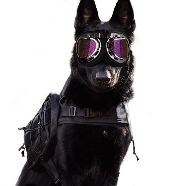 Pet Goggles Hund Goggles Pet Goggles Dog One Size (färg)