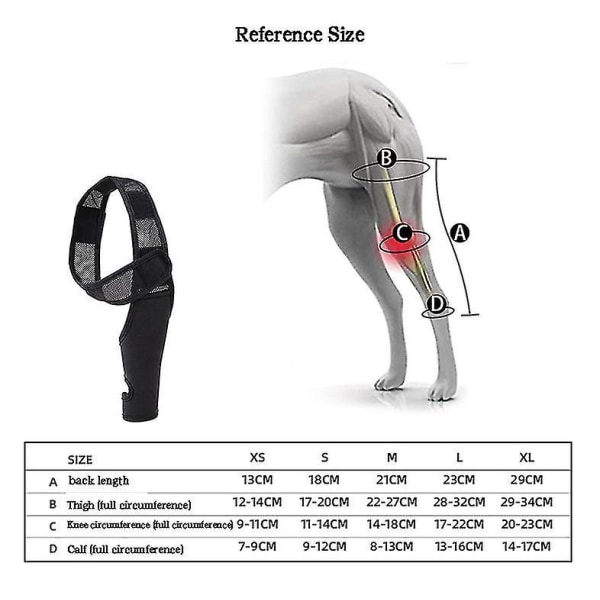 Kjæledyrhund Kneskinne For Knekappe Dislokasjon Leddgikt
