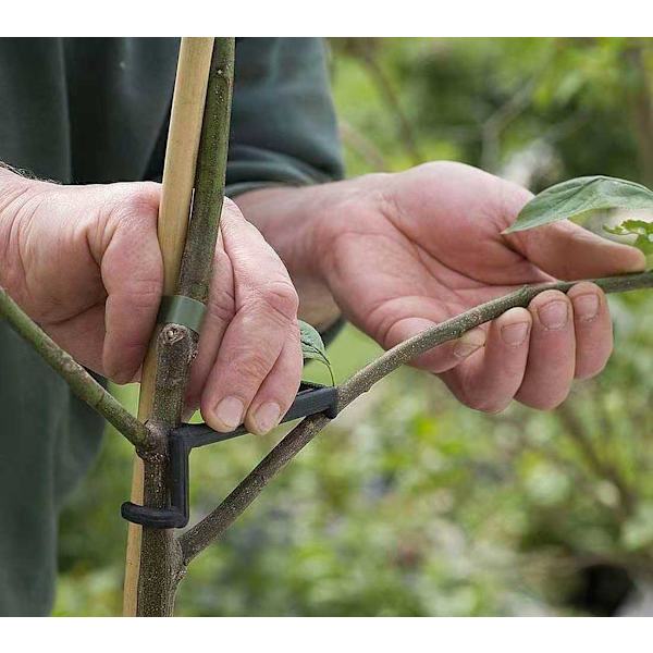 20 st tränare böjare växttränare trädgårdsbonsai kvist justera