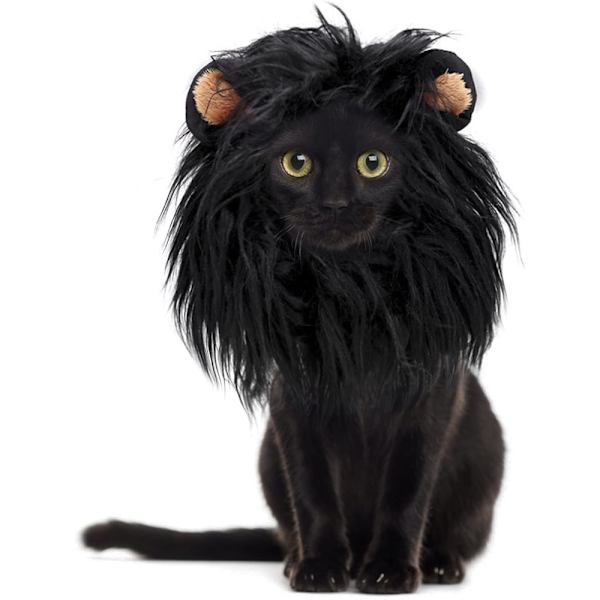 Kattkostym Lejonman Peruk Mössa Hatt Svart M