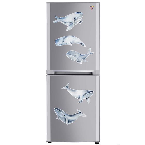 En uppsättning Whale Wall Stickers Väggdekaler Väggdekor för sovrum