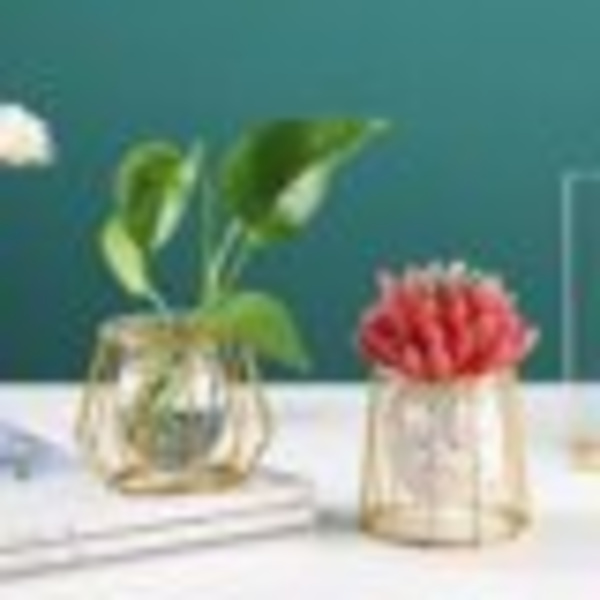 Hemväxt Blomvas Metalltråd Glas Växtkruka 3D Geometrisk Bord Dekoration Guld