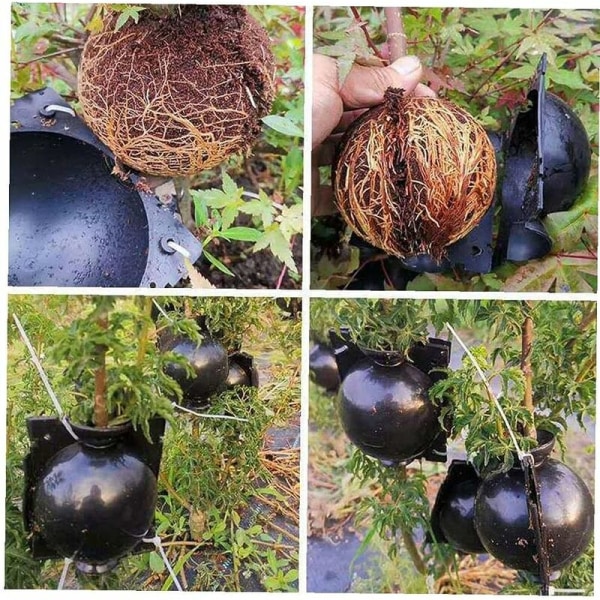 5 stk 5 cm planteforplantningsboks, gjenbrukbar vekstboks for planteformering, pod for aseksuell reproduksjon, plastball for forskjellige planter