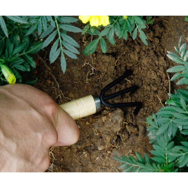 3-pakke miniskje, rive for potteplanter, frøplanter, løs jord,