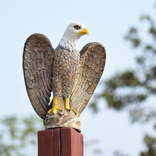 1x Garden Eagle Plastic Realistic Hawk Eagle Statue fugleskræmsel Gar