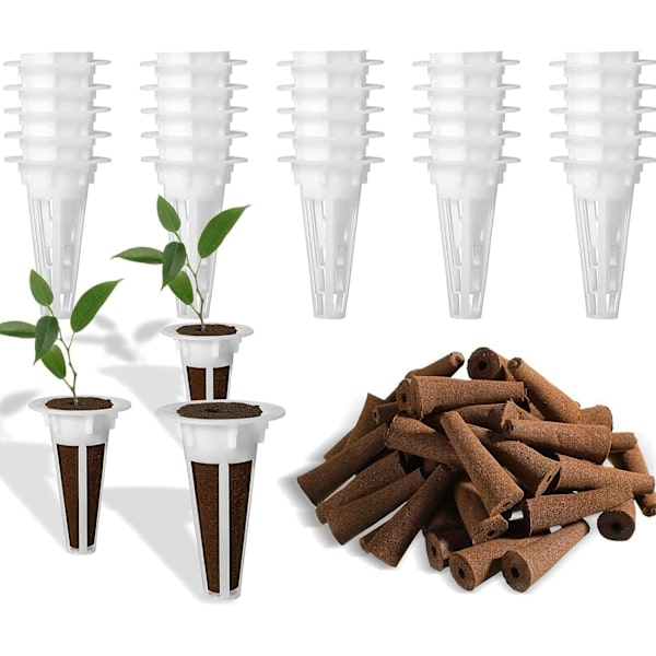50 Hydroponics Kasvatussarja 25 Muovikasvatuskorilla 25 Kasvatussienellä