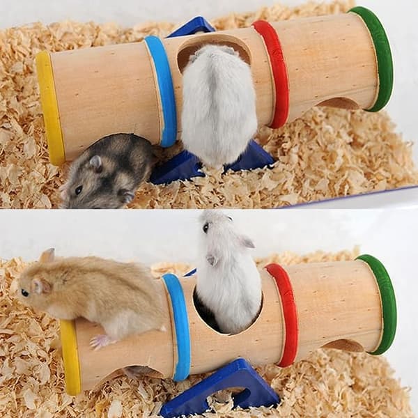 Tunnel för smådjur, gnagar, hamster, iller
