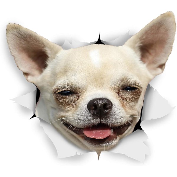 3D Dog Stickers - Happy Chihuahua for vegg, kjøleskap, toalett og mo