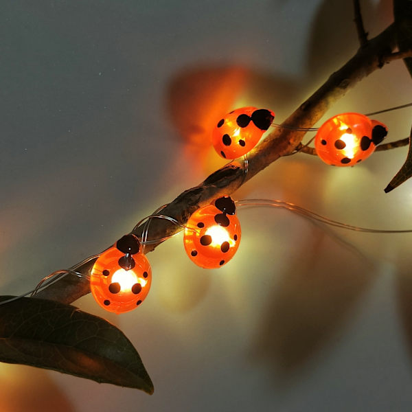 Ljusslinga i form av nyckelpigor 2M 20leds USB lysande nät
