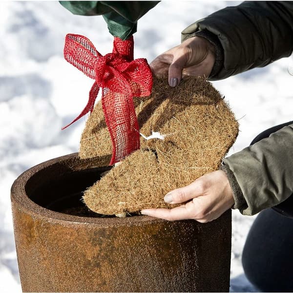 Kokosnøtt Mulching Disc Vinterbeskyttelse Plantebeskyttelse Antifrys