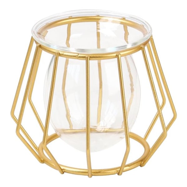 Hemväxt Blomvas Metalltråd Glas Växtkruka 3D Geometrisk Bord Dekoration Guld
