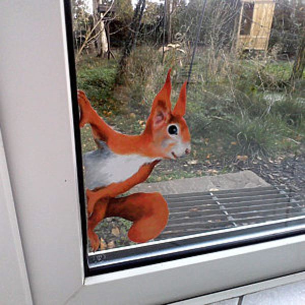 3PCS Peeping Squirrel Wall Decal, Woodland Stickers for Walls and Windows  Stick