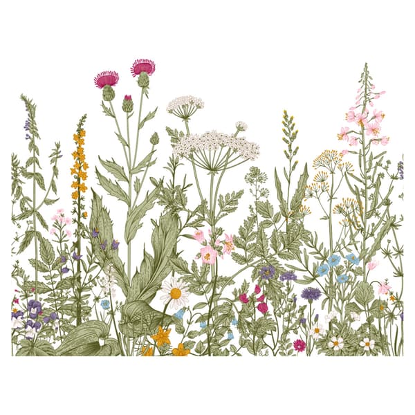 Blommor Växter Väggdekal Väggdekal Väggdekoration för Livin