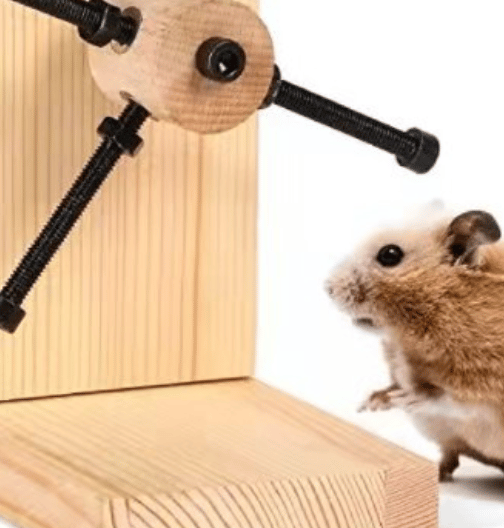 Hamster trappe stige hamster fodring platform foder søgning legetøj godbidder