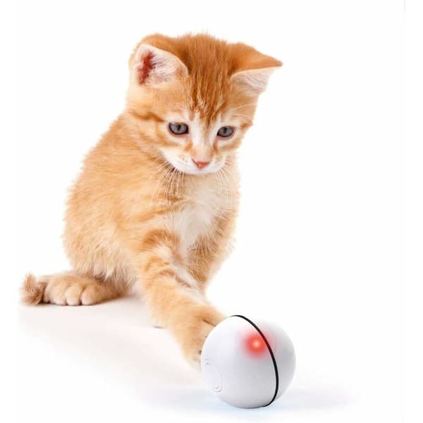 Interaktiv kattleksak, intelligent animerad boll, automatisk rullning