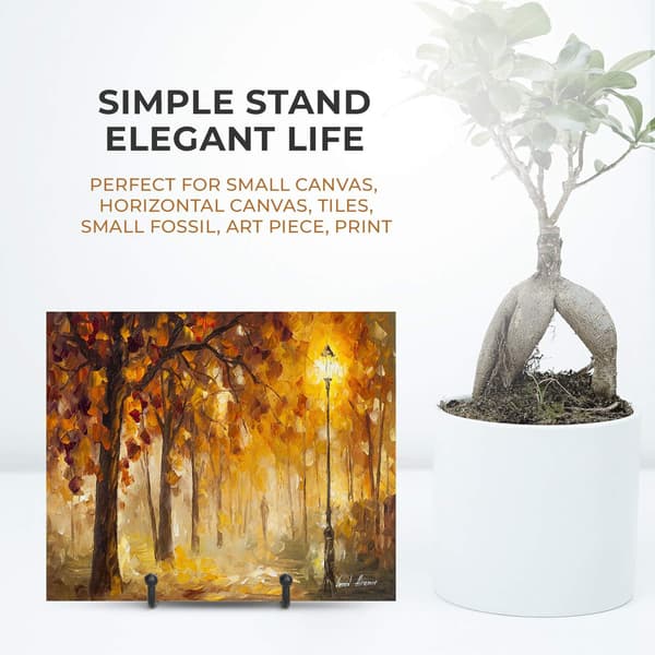 Pladeholdere til udstilling - 3 tommer pladeholder-displaystand + M
