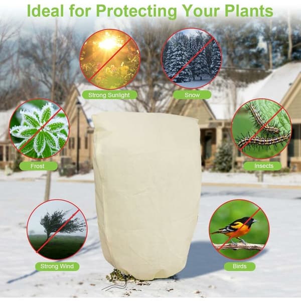 Plantebeskyttelseshetter, vinterbeskyttelse for plante